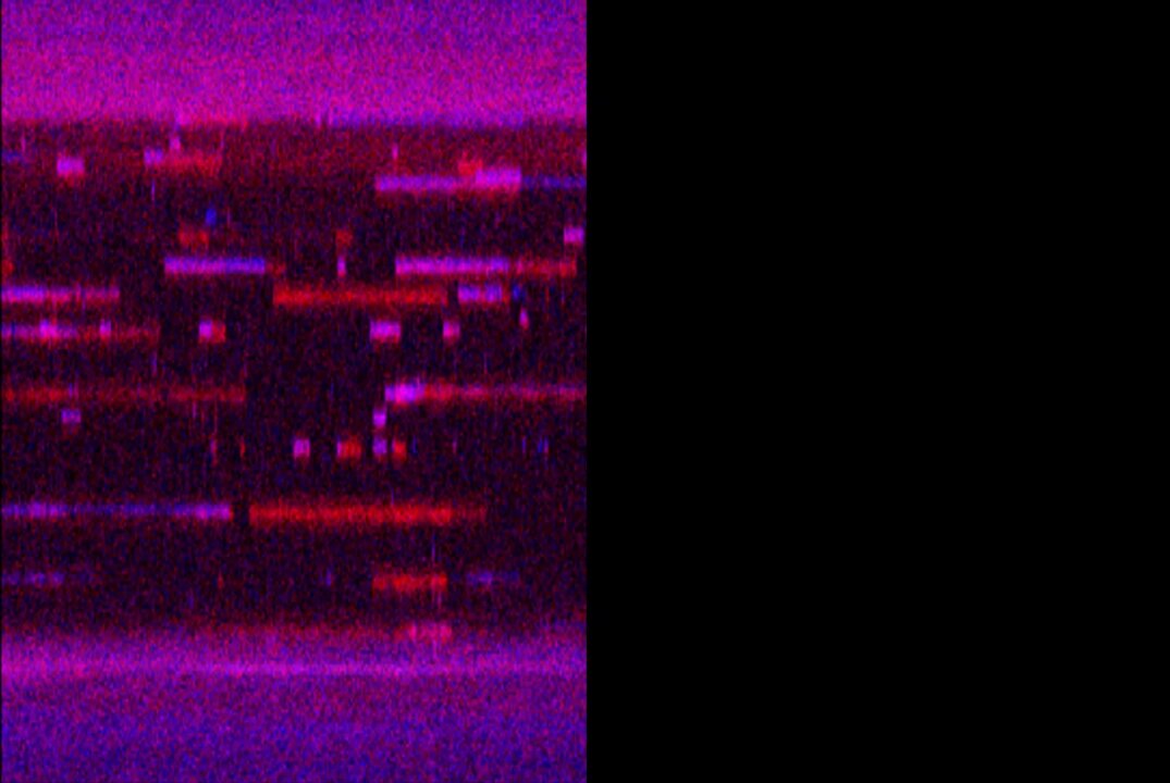 DNA repair proteins