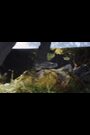 adidas Terrex Ax4 Primegreen Hiking Trainers - Image 2 of 11
