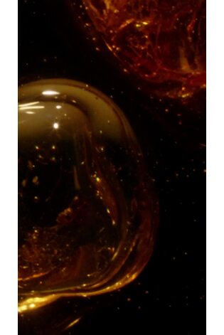 Reiss Gold Amber Dream 50ml Eau De Parfum - Image 2 of 5