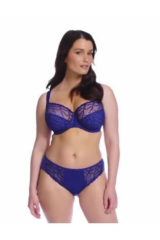 Fantasie Blue Ana Briefs - Image 1 of 1