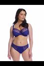 Fantasie Blue Ana Briefs - Image 1 of 1