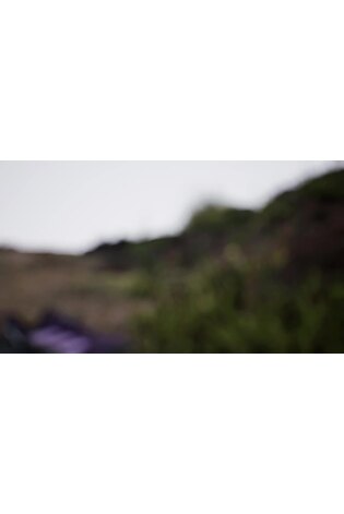 adidas Terrex Purple Anylander Hiking Shoes - Image 2 of 13