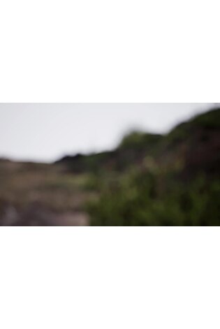 adidas Brown Trailmaker 2 Gortex Trainers - Image 2 of 10