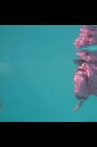 Splash About Pink Go Splash Swim Vest - Image 2 of 7