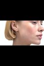 Ted Baker Silver Heplie: Crystal Hoop Earrings - Image 2 of 6