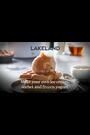 Lakeland White Digital Ice Cream Maker - Image 2 of 5