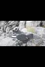 adidas Terrex Swift R2 Mid Gore-Tex Hiking Boots - Image 2 of 10