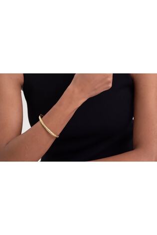 Zelta tonis - Ted Baker Melissa: metāla savīta aproce ar eņģēm - Attēls 2 no 7