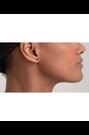 Ted Baker Black Crystal Gold Tone Hailey: Enamel Heart Stud Earrings - Image 2 of 7