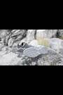 adidas Terrex Swift R2 GORE-TEX Hiking Trainers - Image 2 of 10