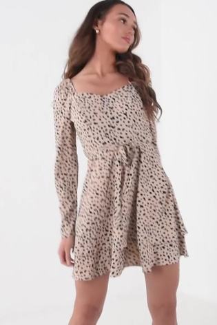 Quiz Neutral Animal Print Skater Dress - Image 2 of 6
