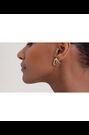 Ted Baker Gold Tone Leah: Abstract Leaf Stud Earrings - Image 2 of 7