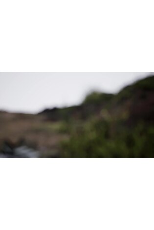 adidas Green Terrex Anylander Hiking Trainers - Image 2 of 5