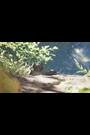 adidas Terrex Black Hydroterra Sandals - Image 2 of 17