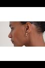 Ted Baker Black Crystal  Gold Tone Toni: Crystal Twist Hoop Earrings - Image 2 of 8