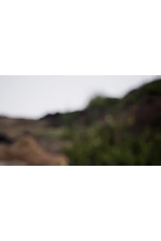 adidas Terrex Brown Anylander CLIMAWARM+ Hiking Shoes - Image 2 of 13