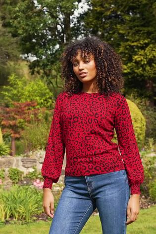 Buy Sosandar Red Leopard Print Relaxed Fit Jumper from Next Luxembourg