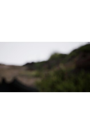 adidas Terrex Black Free Hiker 2.0 Low Gore-Tex Hiking Shoes - Image 2 of 13