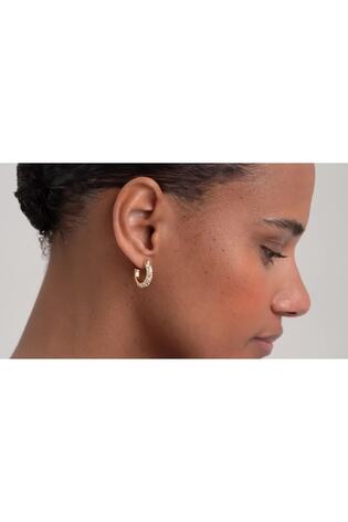 Ted Baker Gold Tone Toni: Crystal Twist Hoop Earrings - Image 2 of 7