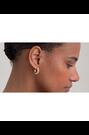 Ted Baker Gold Tone Toni: Crystal Twist Hoop Earrings - Image 2 of 7