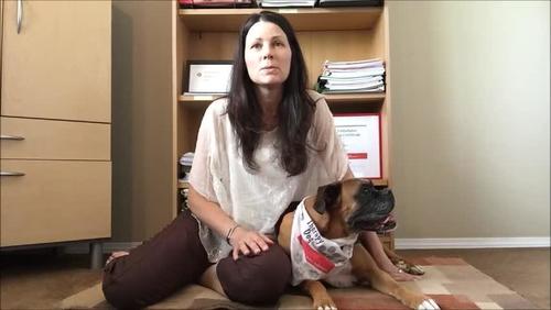 Video Abstract: Taking a PAWS to Reflect on How the Work of a Therapy Dog Supports a Trauma-Informed Approach to Prisoner Health