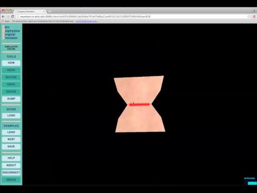 Plastic and Reconstructive Surgery