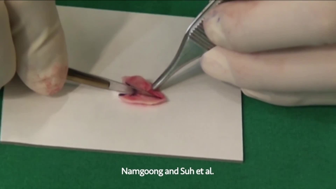 Plastic and Reconstructive Surgery