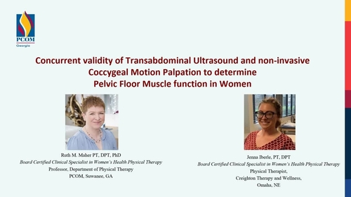 Concurrent Validity of Noninvasive Coccygeal Motion Palpation and Transabdominal Ultrasound Imaging in the Assessment of Pelvic Floor Function in Women