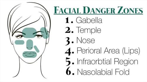 Facial Danger Zones 日本美容外科学会 Facial Danger Zones 日本美容外科学会