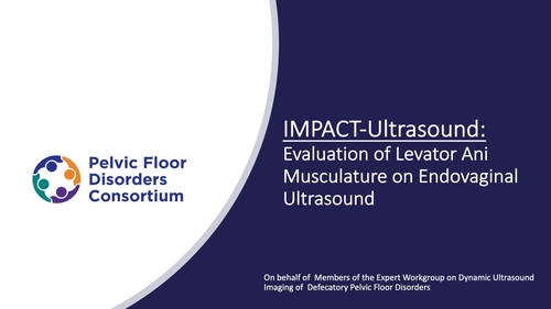 IMPACT-Ultrasound: Evaluation of Levator Ani Musculature on Endovaginal Ultrasound