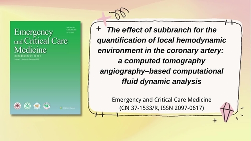 The effect of subbranch for the quantification of local hemodynamic environment in the coronary artery: a computed tomography angiography–based computational fluid dynamic analysis