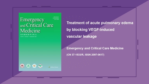 Treatment of acute pulmonary edema by blocking VEGF-induced vascular leakage