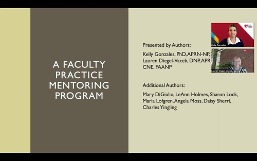 A Faculty Practice Mentoring Program