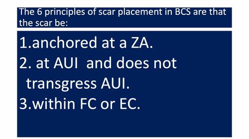 Body contouring aesthetic units and zones. Video 1 from “Aesthetic Units and Zones of Adherence: Relevance to Planning Incisions in Body Contouring Surgery”