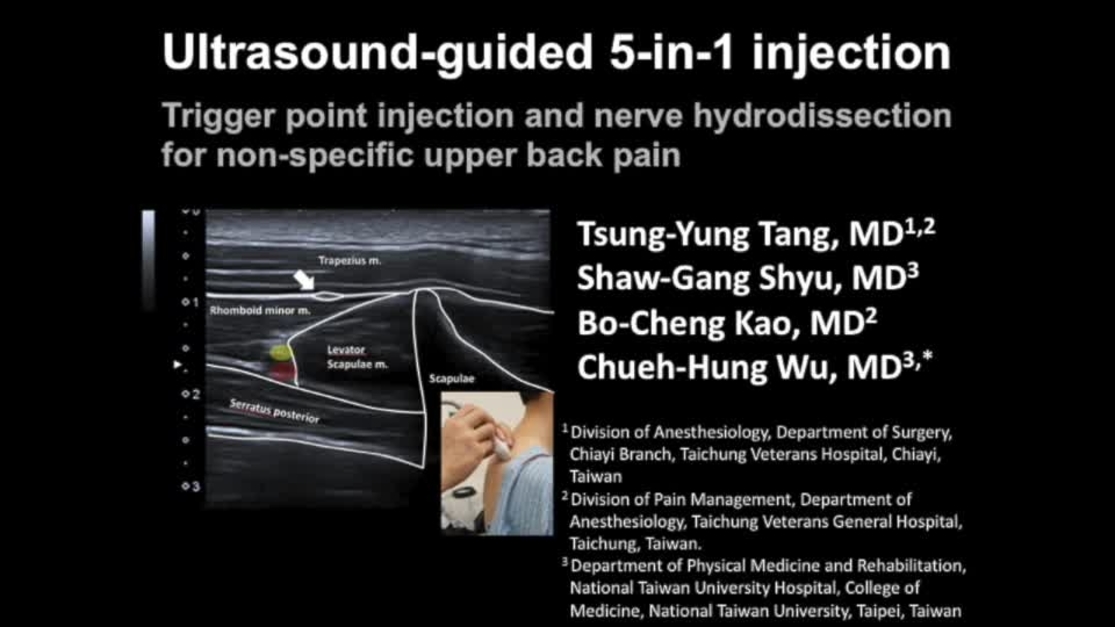 Ultrasound-Guided Injection for Pain Relief