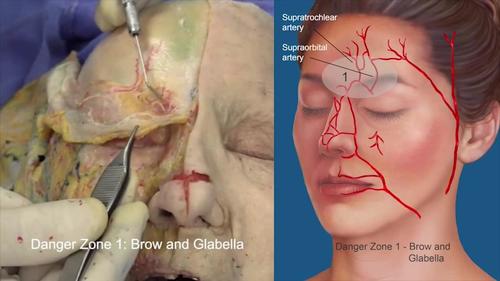 Plastic and Reconstructive Surgery