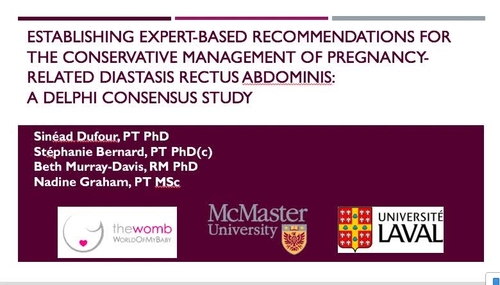 Establishing Expert-Based Recommendations for the Conservative Management of Pregnancy-Related Diastasis Rectus Abdominis: A Delphi Consensus Study