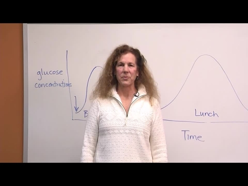 Video Abstract: Syncing Exercise With Meals and Circadian Clocks