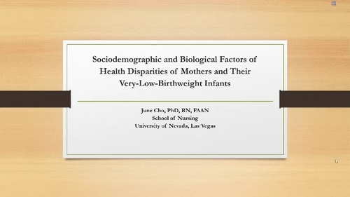 Sociodemographic and Biological Factors of Health Disparities of Mothers and Their Very-Low-Birthweight Infants