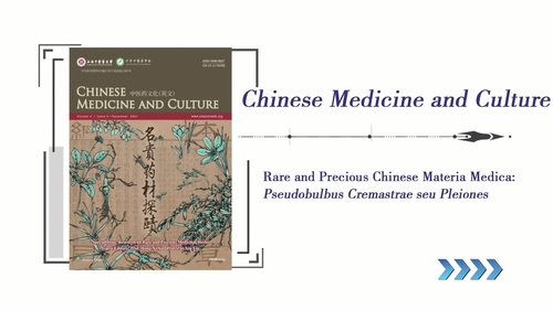 Rare and Precious Chinese Materia Medica: Pseudobulbus Cremastrae seu Pleiones