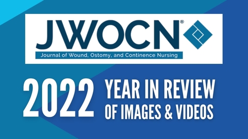 JWOCN: 2022 Year in Review of Images