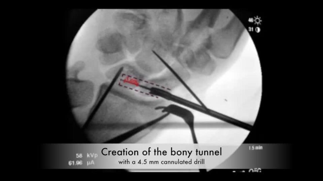 Plastic and Reconstructive Surgery
