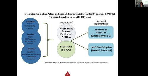 Exploring Internal Facilitators’ Experience with NeoECHO to Foster NEC Prevention and Timely Recognition through the iPARIHS Lens
