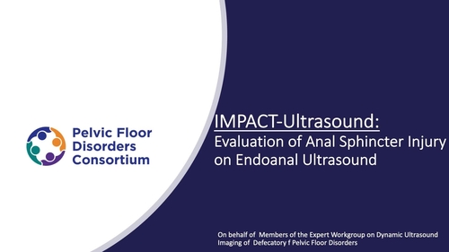 IMPACT-Ultrasound: Evaluation of Anal Sphincter Injury on Endoanal Ultrasound