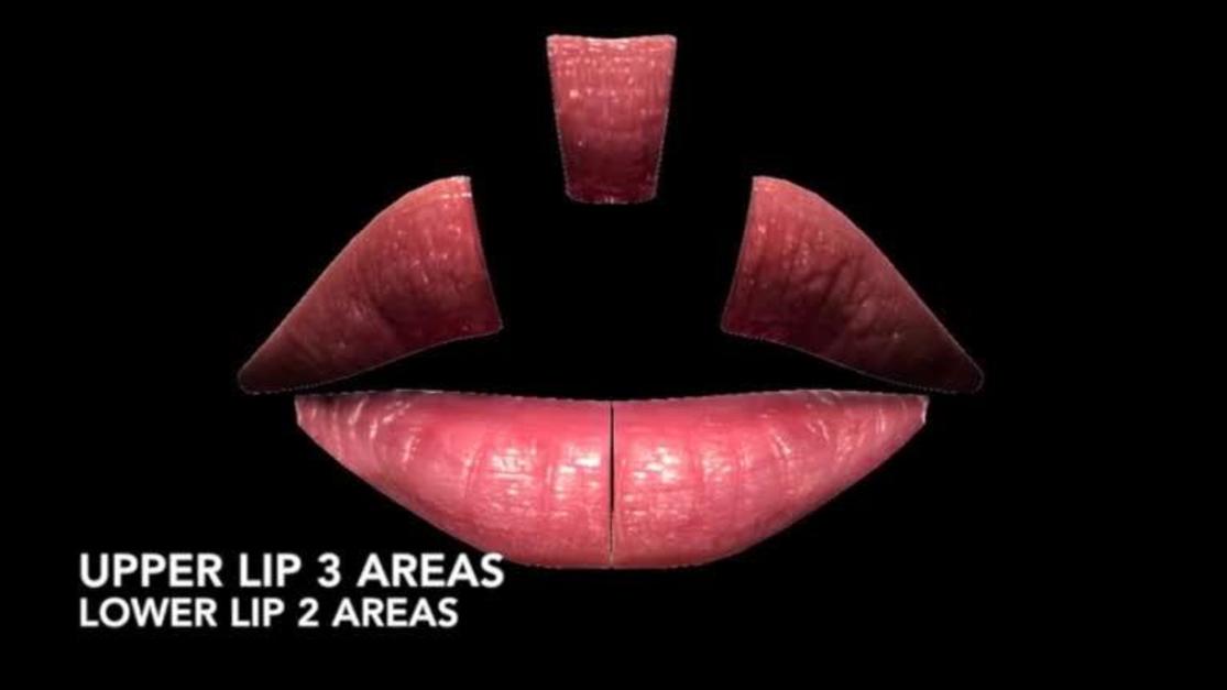 Plastic and Reconstructive Surgery