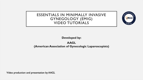 Exercise L-4: intracorporeal tie