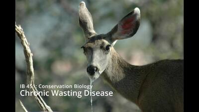 Chronic_Wasting_Disease - Illinois Media Space