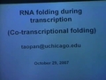 Image for RNA Folding During Transcriptions Facilitated by Non-native Structures