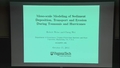 Image for Meso-scale Modeling of Sediment Deposition, Transport and Erosion During Tsunamis and Hurricanes