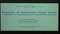 Image for Dynamics of Mammalian Visual Cortex: Challenges in Computational and Mathematical Modeling